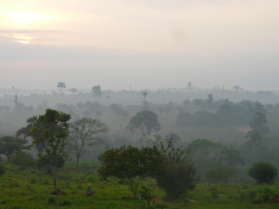 L’attribut alt de cette image est vide, son nom de fichier est paysage.jpg.