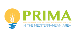 Logo PRIMA